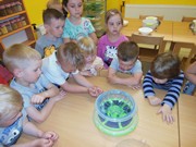 Rychlíme semínka a pozorujeme